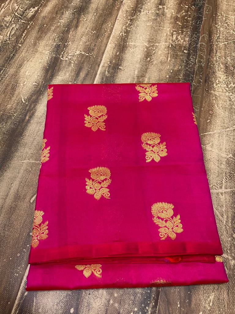 Rani Pink Pure Venkatagiri Pattu No Border Saree with Gold Zari Buttas