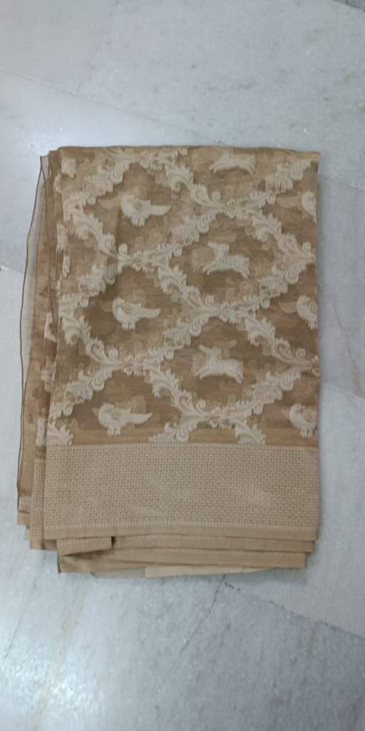 Beige Designer Net Saree with Elegant Floral Embroidery